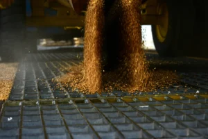 Descarga De Trigo A Granel Moave Moagem de Cabo Verde (3)